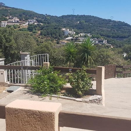 Bas De Villa Chez Mr.Girolami Dominique 巴斯蒂亚 外观 照片