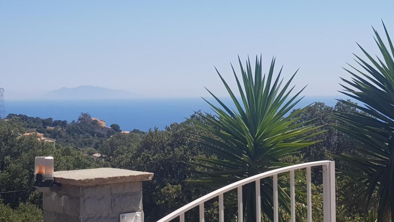 Bas De Villa Chez Mr.Girolami Dominique 巴斯蒂亚 外观 照片