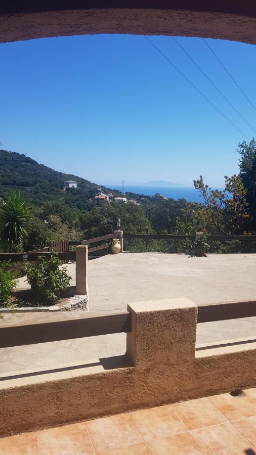 Bas De Villa Chez Mr.Girolami Dominique 巴斯蒂亚 外观 照片