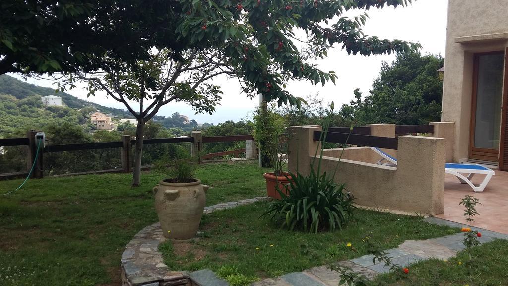 Bas De Villa Chez Mr.Girolami Dominique 巴斯蒂亚 外观 照片